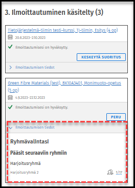 Ryhmävlainta hyväksytty