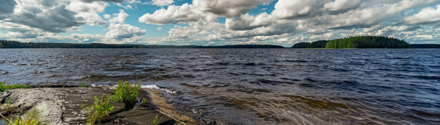 summer lake landscape