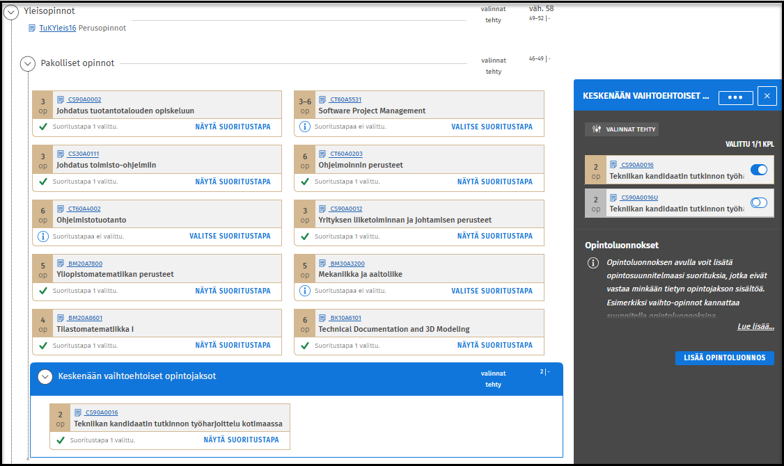 Työkokemus HOPSissa