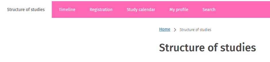 Structure of studies